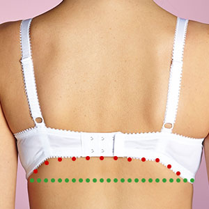 Strike up the Band: The Perfect Bra Fit - The Three Tomatoes