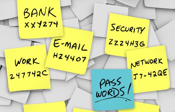 The Password Nightmare - The Three Tomatoes