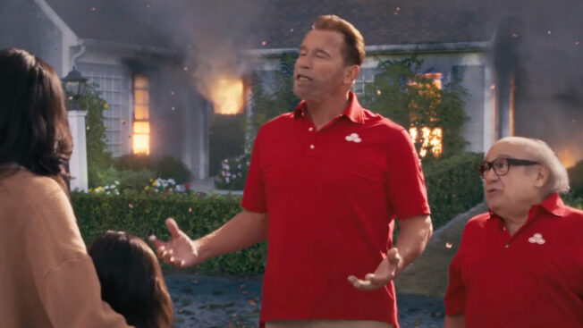 The Super Bowl 2024 Commercials Best And Worst The Three Tomatoes   State Farm Schwarzenegger Devito 2024 652x367 1 